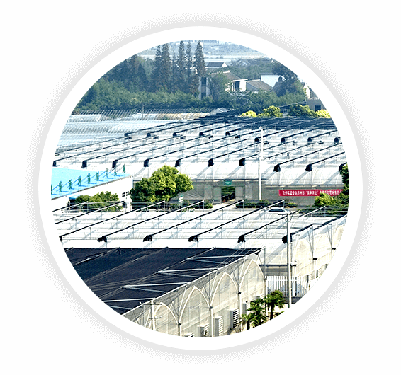 種類(lèi)齊全，所有產(chǎn)品品質(zhì)保證