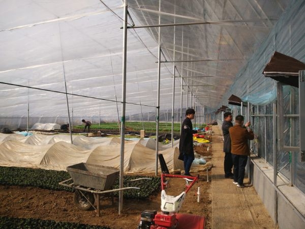 日光溫室廠(chǎng)家