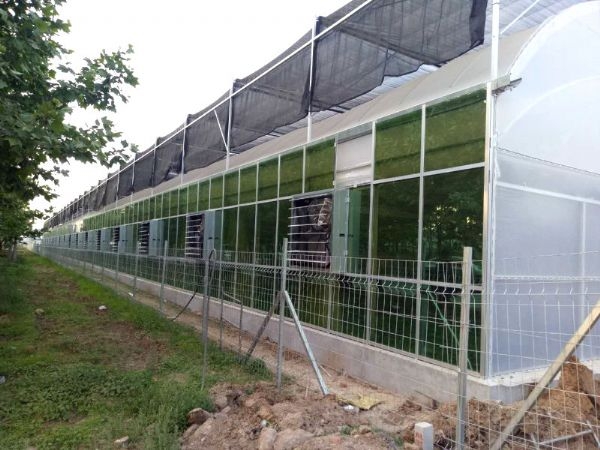 small4_15442341943620344