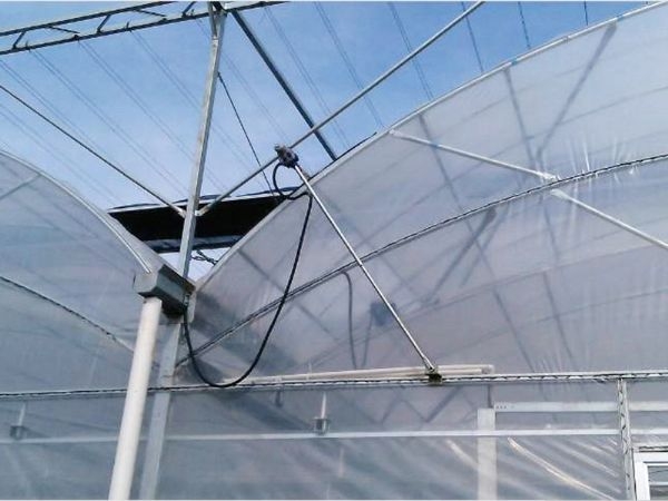 small4_15442341941723279