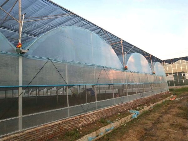 small4_15442341893685163