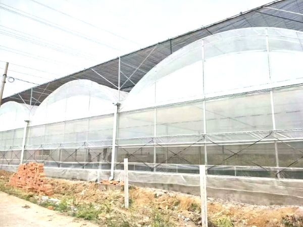 small4_15442341881629895