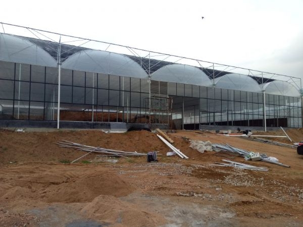 山東拱形連棟溫室